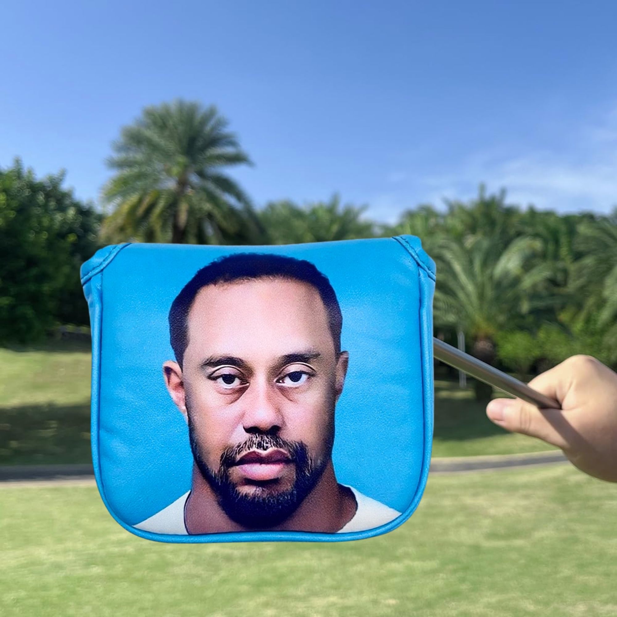 Funny Golf Mallet Putter Head  - Men Accessories To Gift 评论和价格